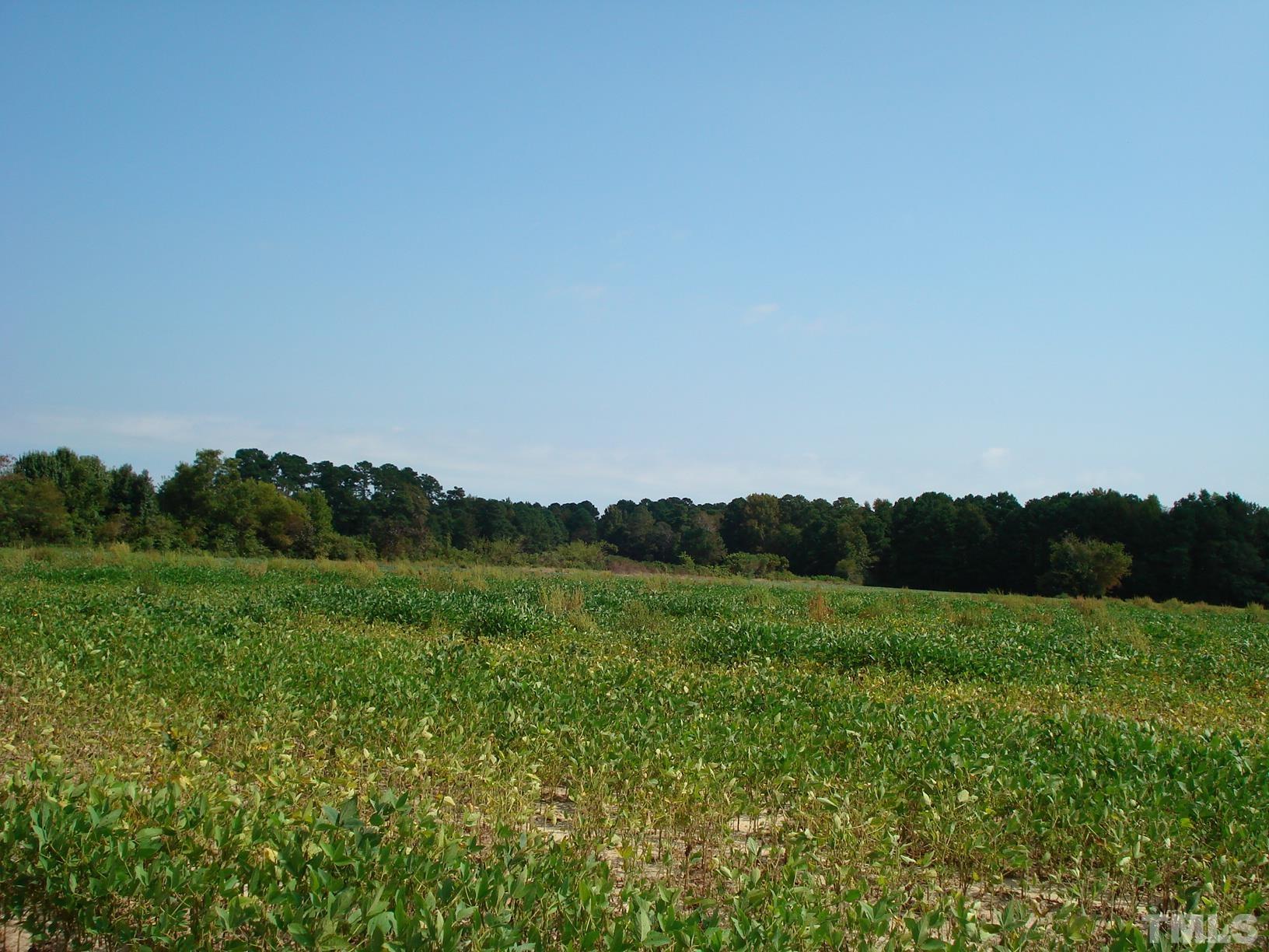 0 Hay Barn Road Dunn, NC 28334 - Photo 2 of 17 a view of a lush green space with a mountain in the background