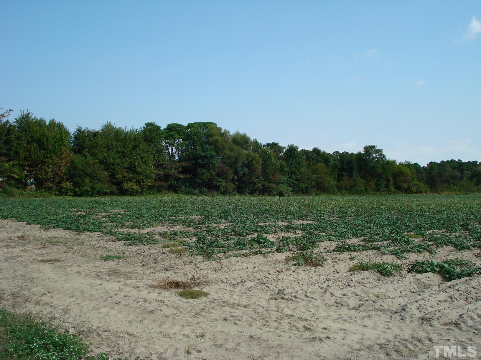 0 Hay Barn Road Dunn, NC 28334 - Photo 11 of 17 a view of a field with trees in background