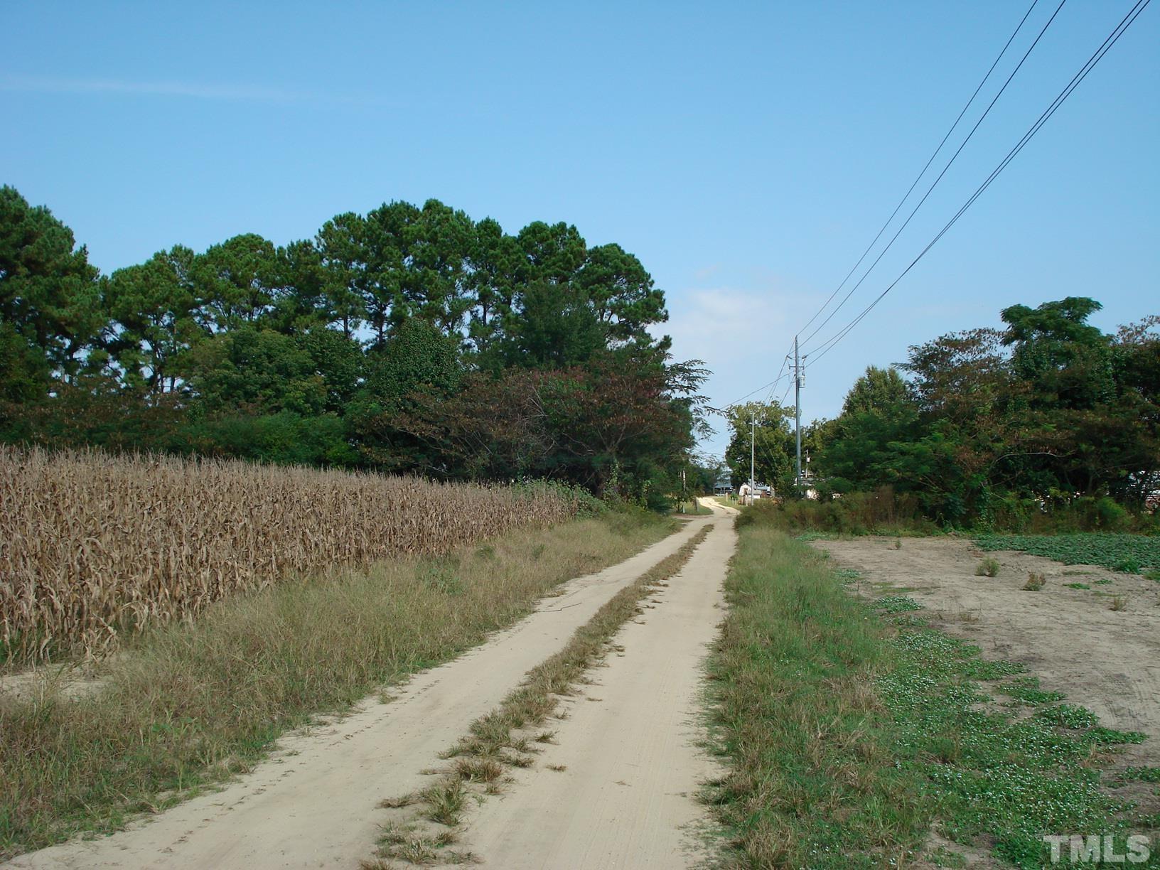 0 Hay Barn Road Dunn, NC 28334 - Photo 12 of 17 a view of a yard with plants