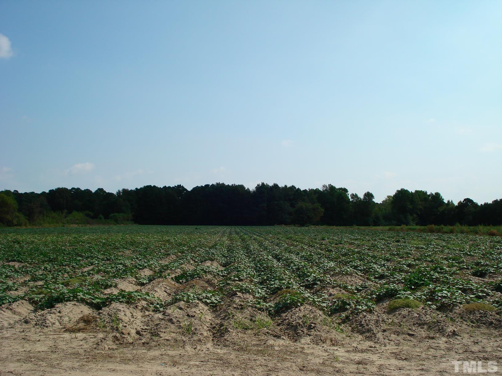 0 Hay Barn Road Dunn, NC 28334 - Photo 3 of 17 a view of grassy field with mountain
