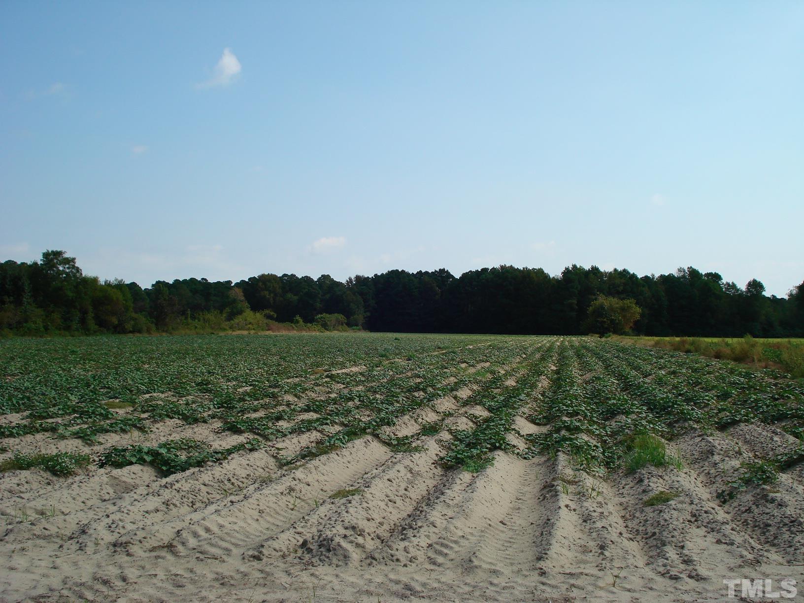 0 Hay Barn Road Dunn, NC 28334 - Photo 4 of 17 a view of a lake in middle of a field