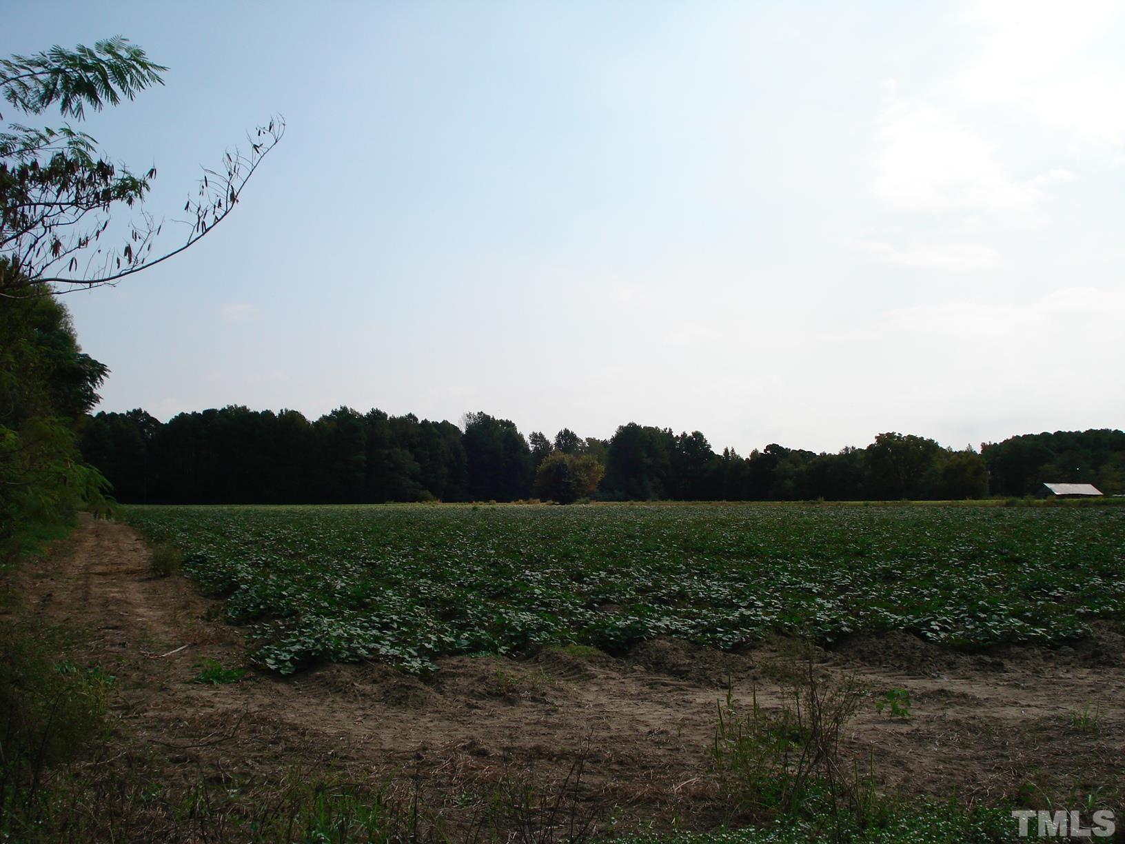 0 Hay Barn Road Dunn, NC 28334 - Photo 7 of 17 a view of outdoor space and yard