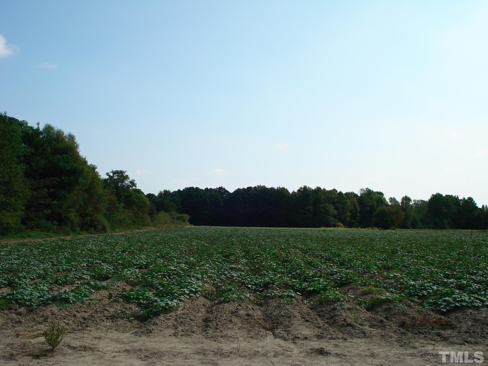 0 Hay Barn Road Dunn, NC 28334 - Photo 8 of 17 a view of a field with a tree in it