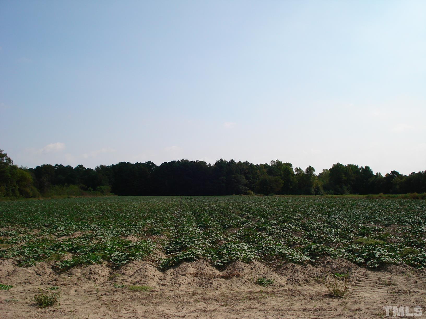 0 Hay Barn Road Dunn, NC 28334 - Photo 10 of 17 a view of a field with a sink