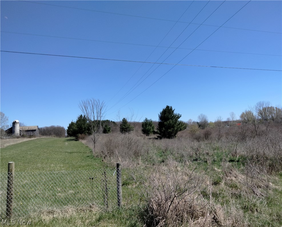 Bedell Road Berlin Center, OH 44401 - Photo 5 of 15 View of yard with a rural view