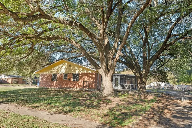 a view of a large trees with a big yard