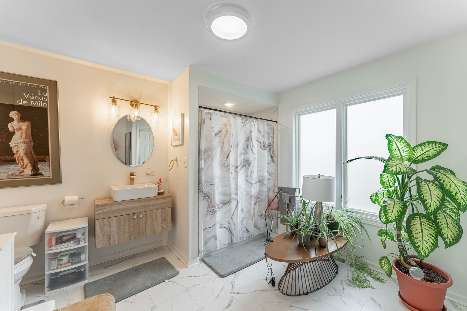1442 Kinross Street Flossmoor, IL 60422 - Photo 19 of 53 a bathroom with a potted plant and a sink