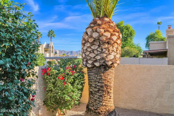 a picture of plants