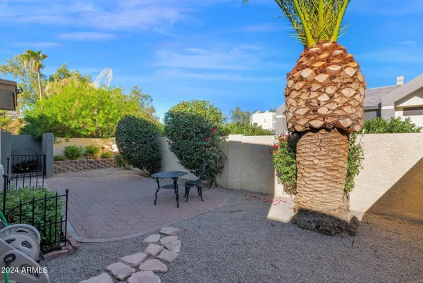 a view of a chairs and table in the backyard