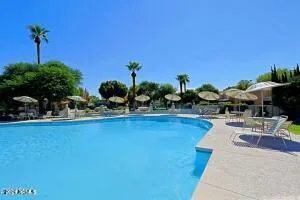 a view of a swimming pool and lounge chairs