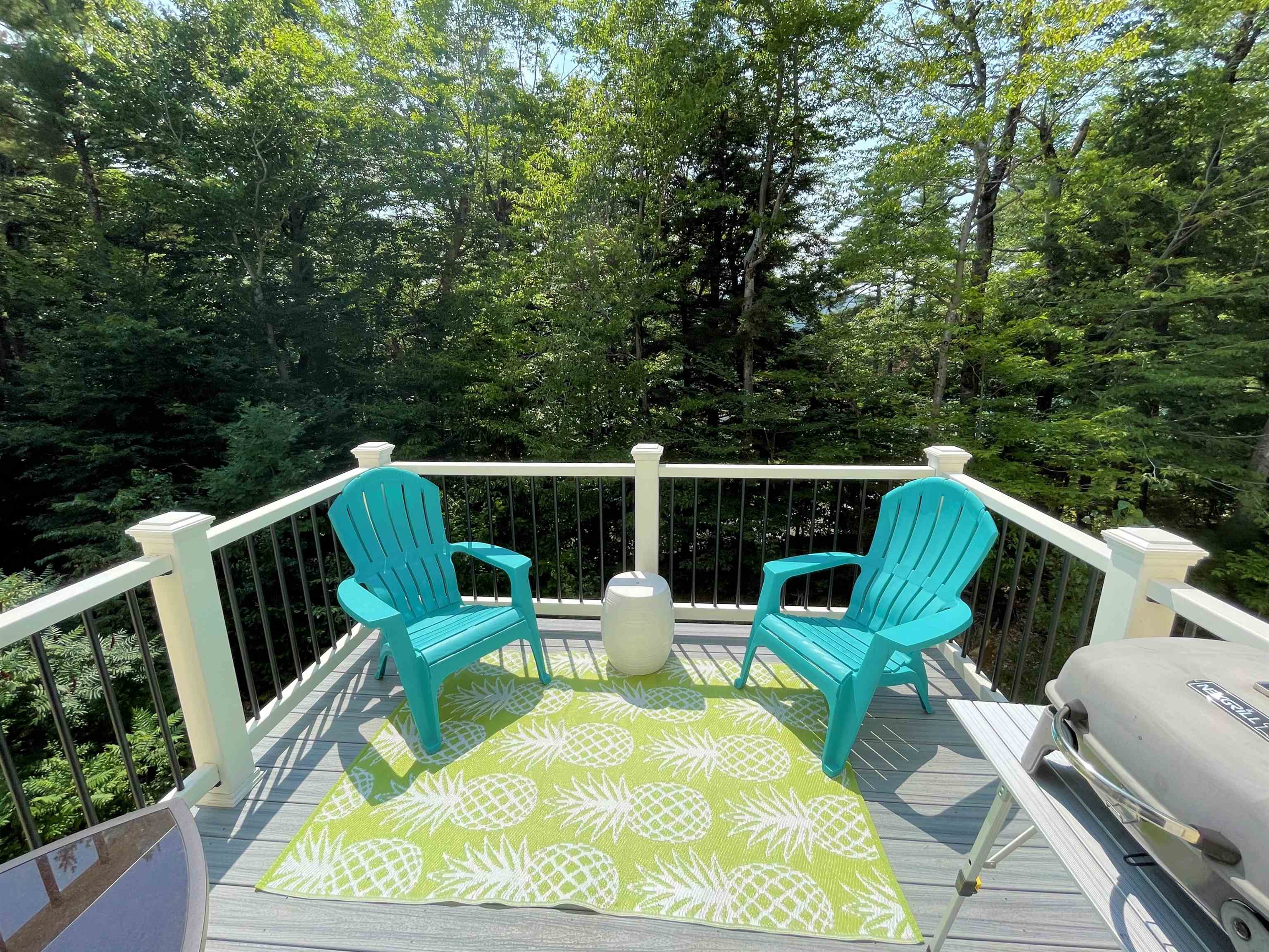 5 Beechwoods At Intervale Road Intervale, NH 03845 - Photo 11 of 40
