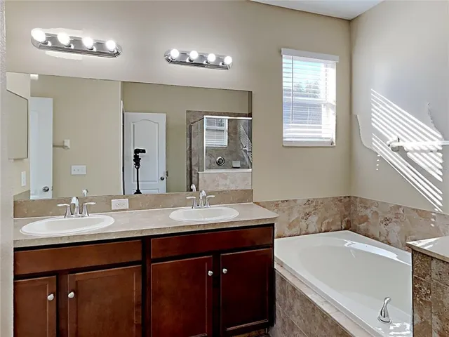 a bathroom with a sink double vanity and a bathtub