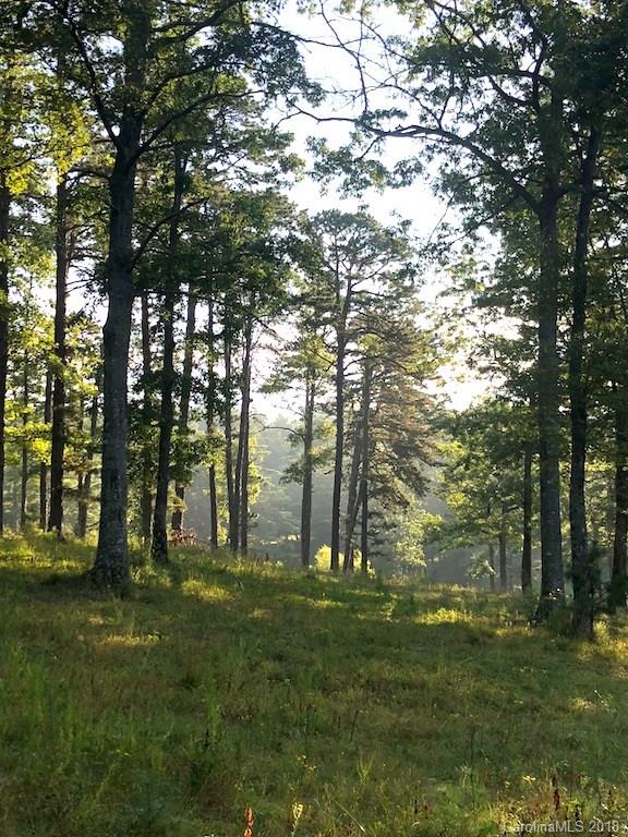 L3 Stones Lake Road, Unit L3 Brevard, NC 28712 - Photo 22 of 36 Gallery Image 22