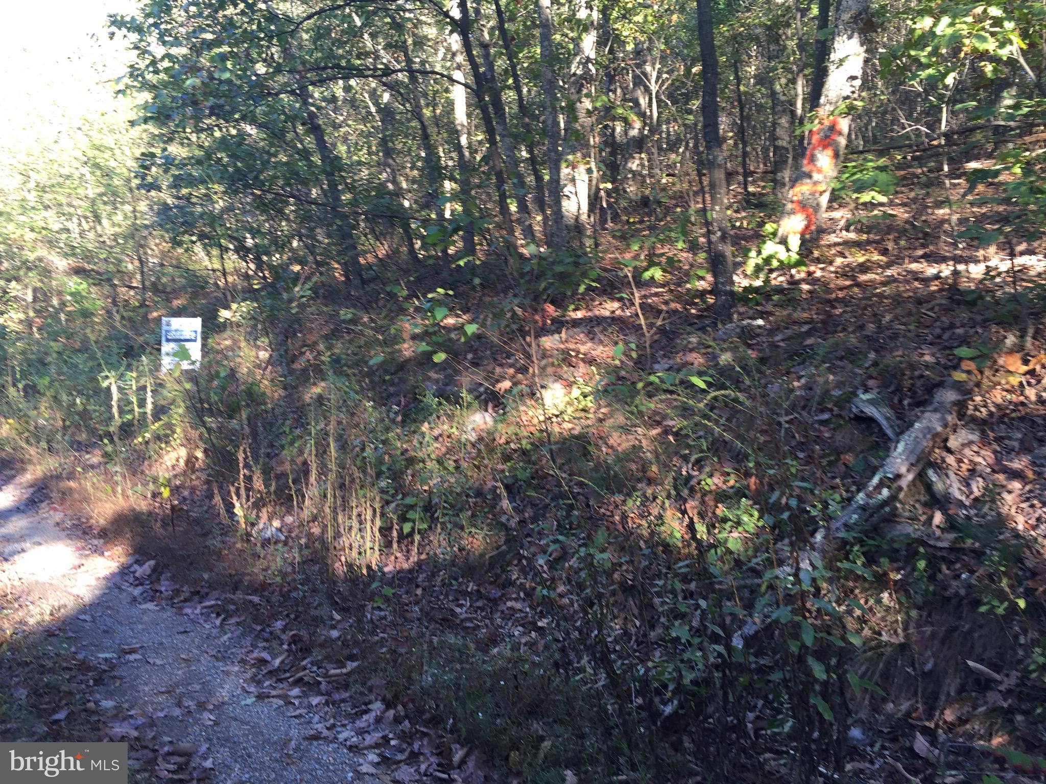 Bobcat Trail Winchester, VA 22602 - Photo 12 of 15 Approximate Property Line Markers Spray Painted