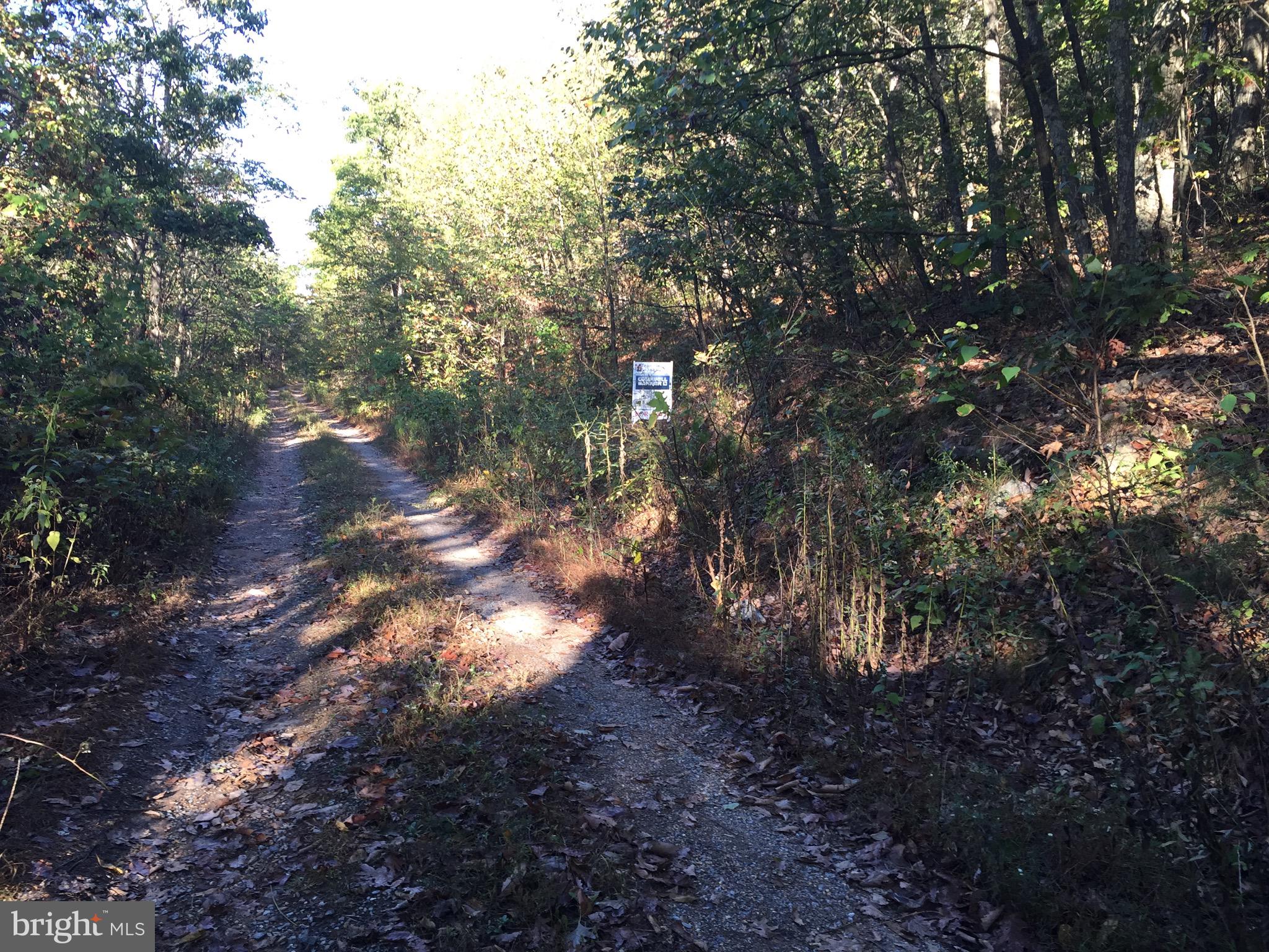 Bobcat Trail Winchester, VA 22602 - Photo 14 of 15 Approximate Property Line Markers Spray Painted