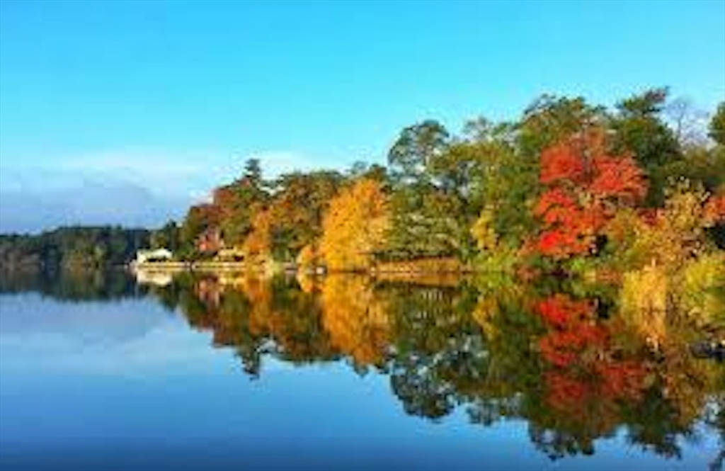 10 Sycamore Road Wrentham, MA 02093 - Photo 25 of 25