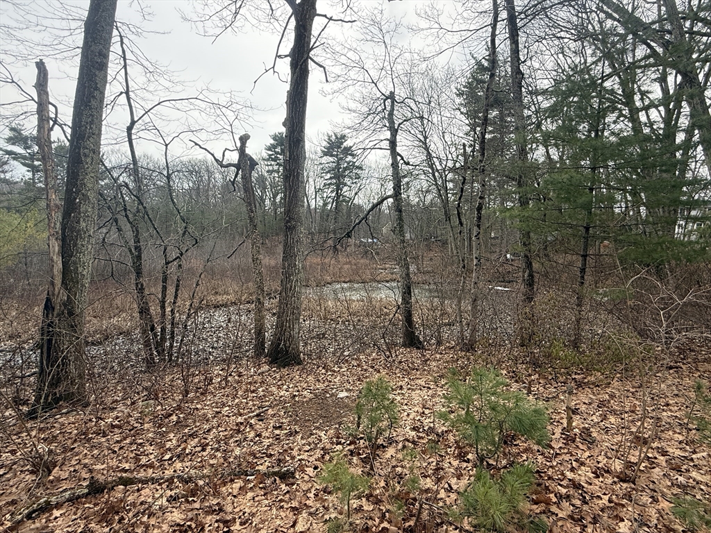 10 Sycamore Road Wrentham, MA 02093 - Photo 3 of 25