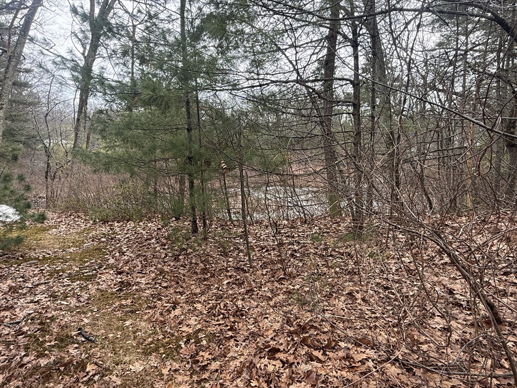 10 Sycamore Road Wrentham, MA 02093 - Photo 7 of 25