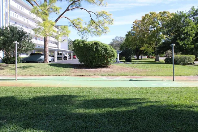 a view of a yard with an outdoor space