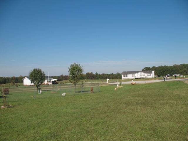 103 Case Lane Anderson, SC 29624 - Photo 17 of 21 Gallery Image 17