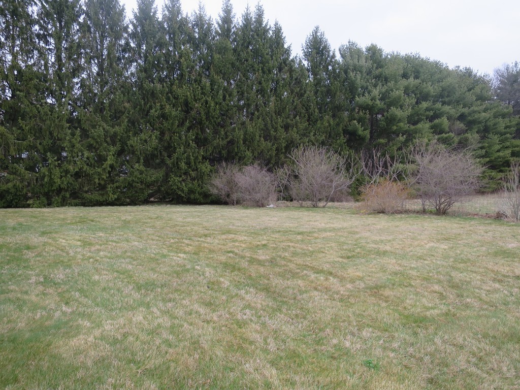 59 Fuller Road Palmer, MA 01069 - Photo 2 of 24 Gallery Image 2