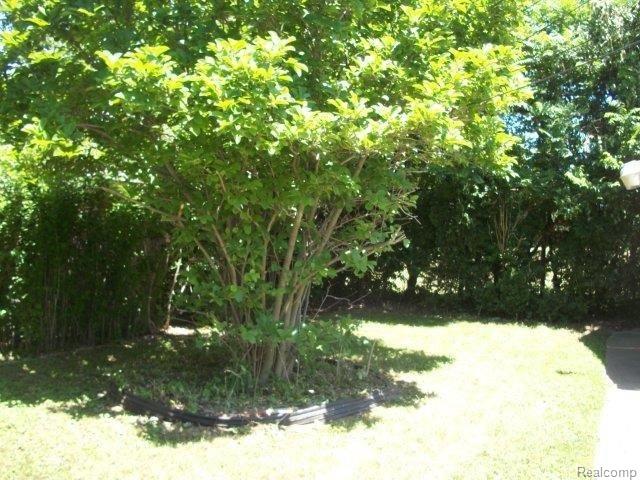 4164 Balfour Road Detroit, MI 48224 - Photo 17 of 18 261-907490 - Yard.jpg