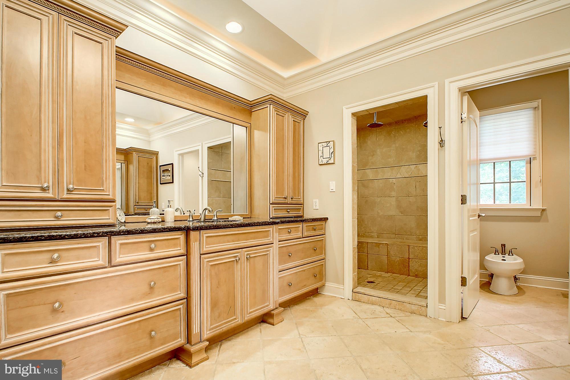 1823 Ridge Road Reisterstown, MD 21136 - Photo 11 of 30 Bath (Master)