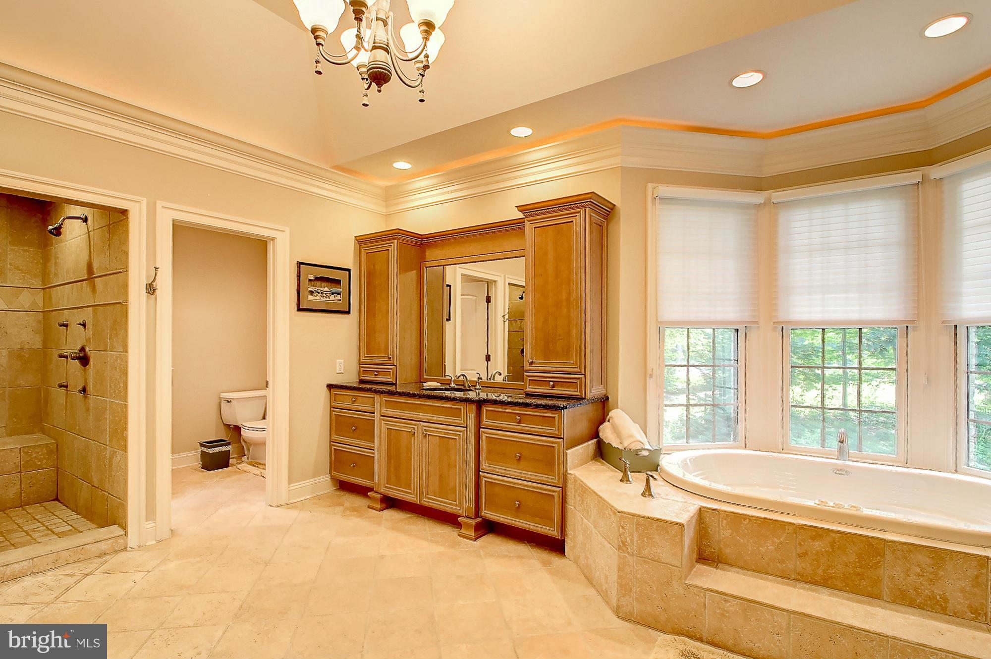 1823 Ridge Road Reisterstown, MD 21136 - Photo 13 of 30 Bath (Master)