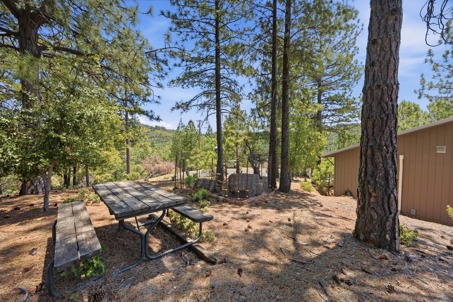 5595 Jasper-Ridge Murphys, CA 95247 - Photo 70 of 96 Shaded picnic area.