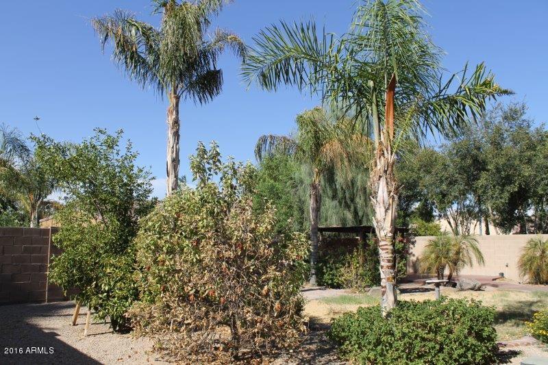 2204 West Harwell Rd. Phoenix, AZ 85041 - Photo 38 of 42 IMG_1051