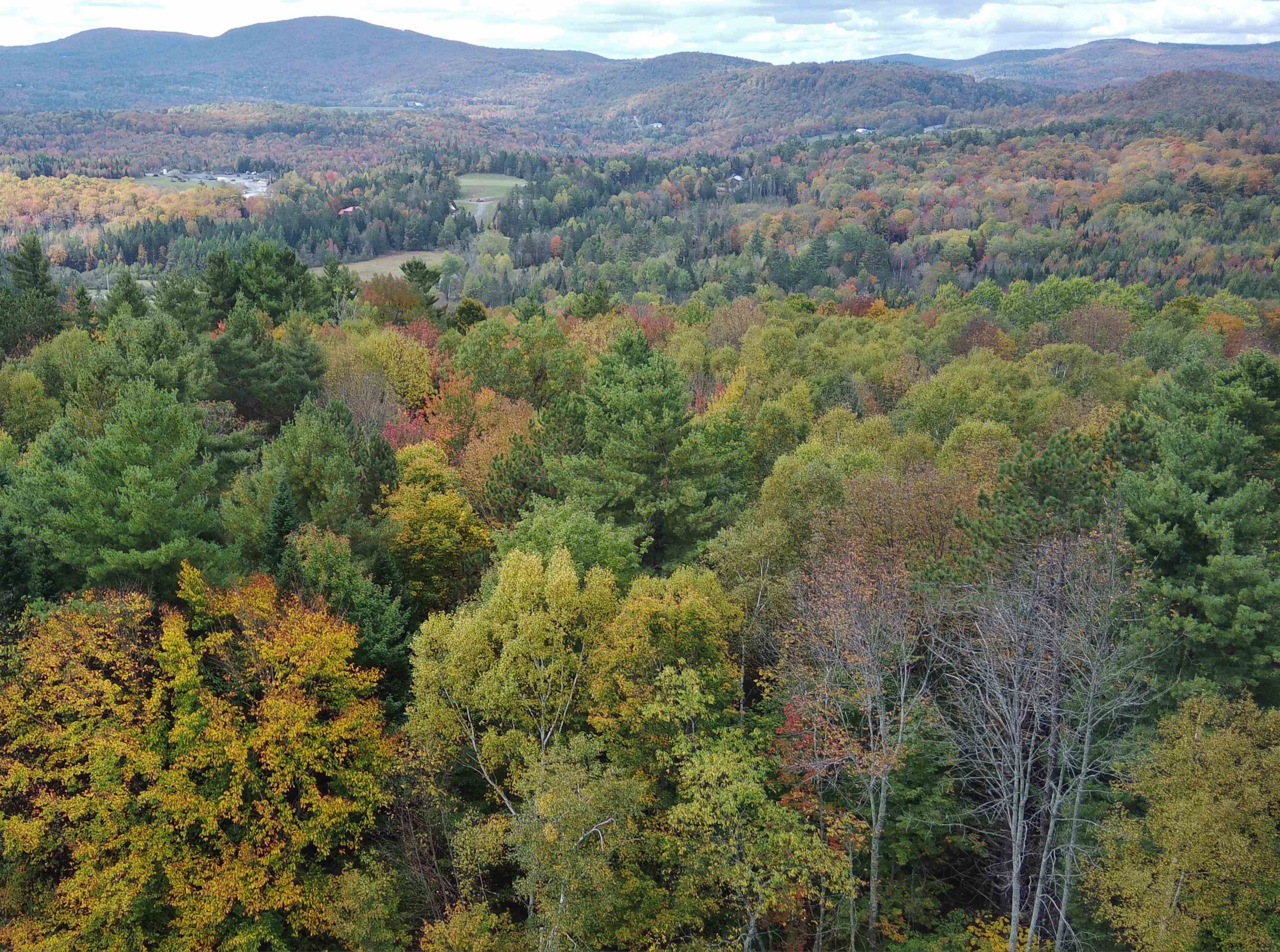 0 Walden Hill Road, Unit 2 Danville, VT 05828 - Photo 13 of 29