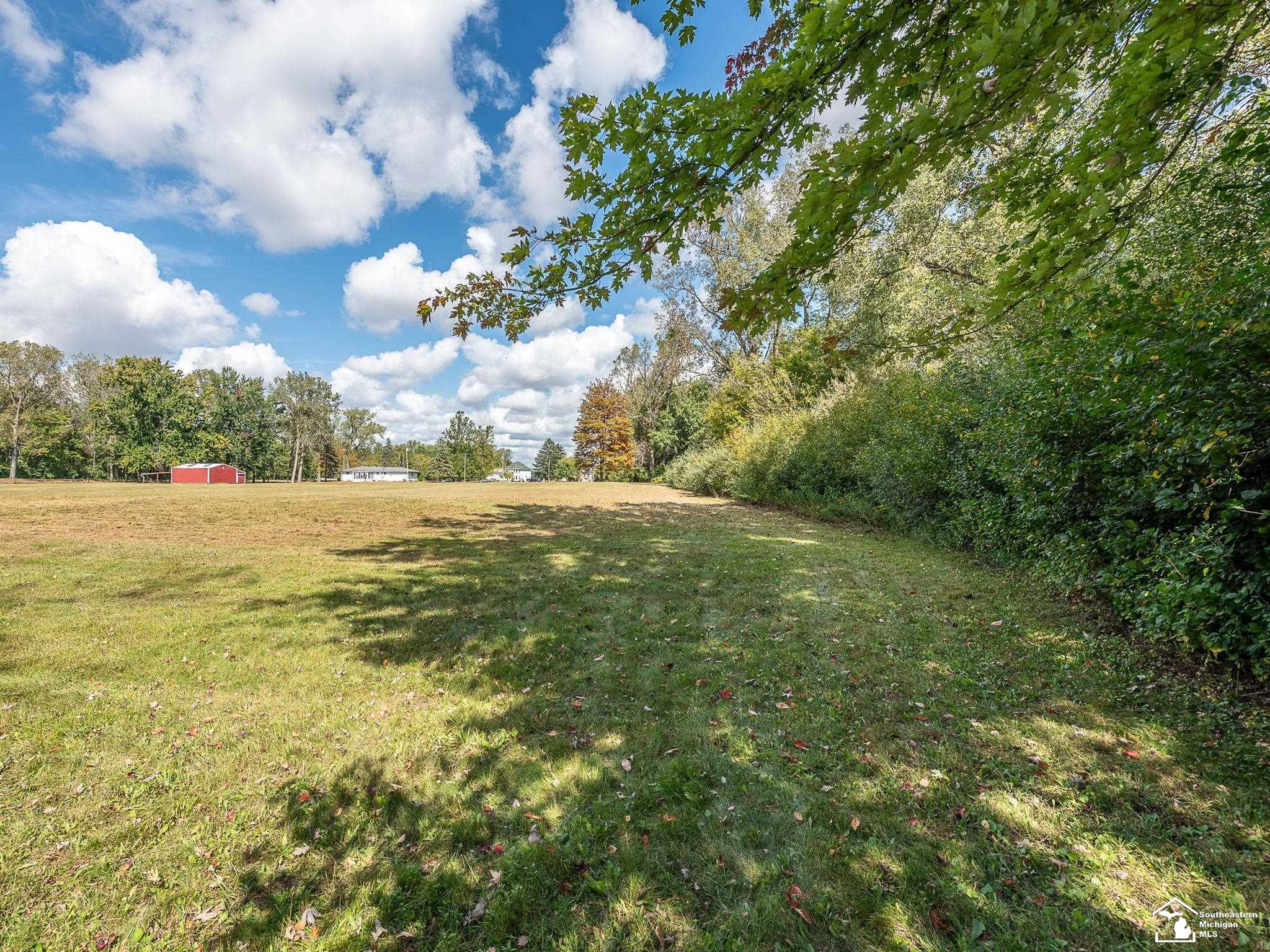 0 Blue Bush Road Monroe, MI 48162 - Photo 6 of 15