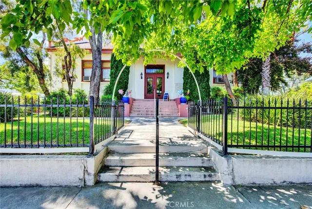a view of a backyard with plants and a large tree