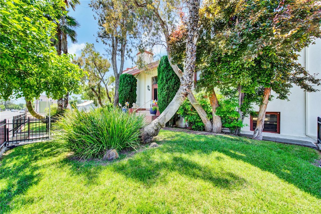618 4th Street Corning, CA 96021 - Photo 18 of 36 a view of a backyard with plants and a large tree