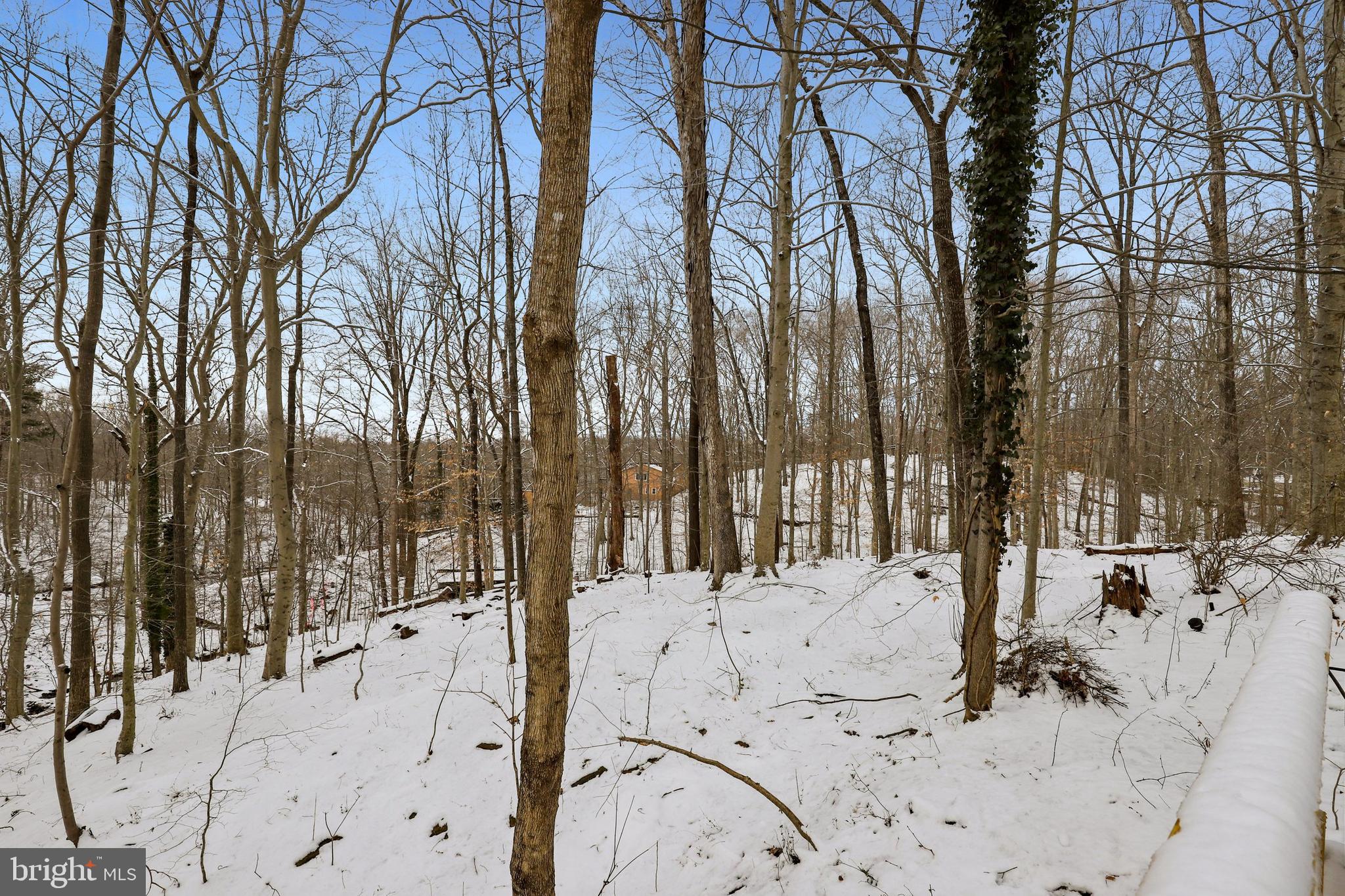 12080 Lester Road Manassas, VA 20112 - Photo 23 of 25 Gallery Image 23