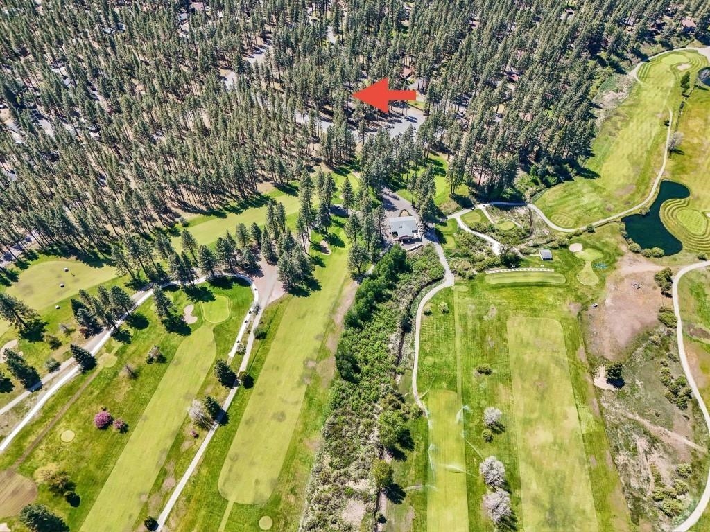 10 Graeagle Meadows Road Graeagle, CA 96103 - Photo 20 of 25 a flower in a garden view