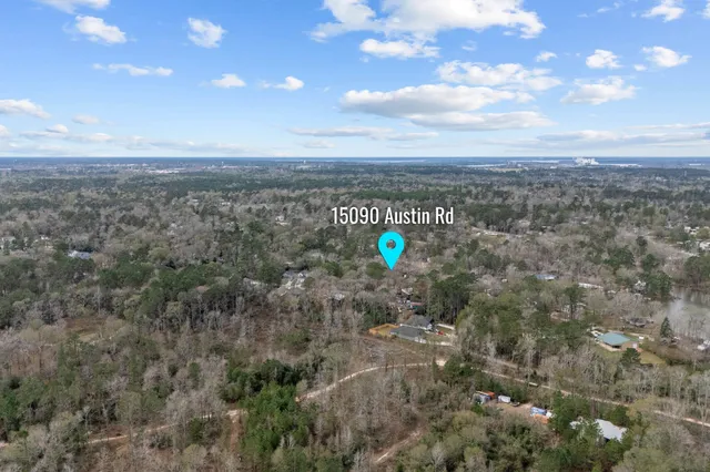 a view of a trees with a tree in back