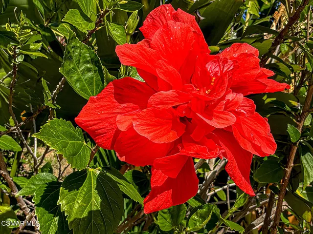 $949,900 | 2189 Latham Street, Simi Valley, CA 93065