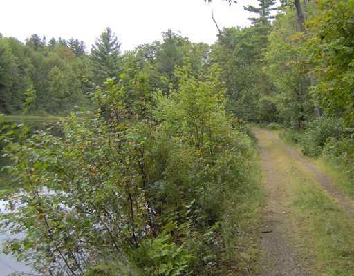 384 Toothaker Pond Road Phillips, ME 04966 - Photo 12 of 16 Other.