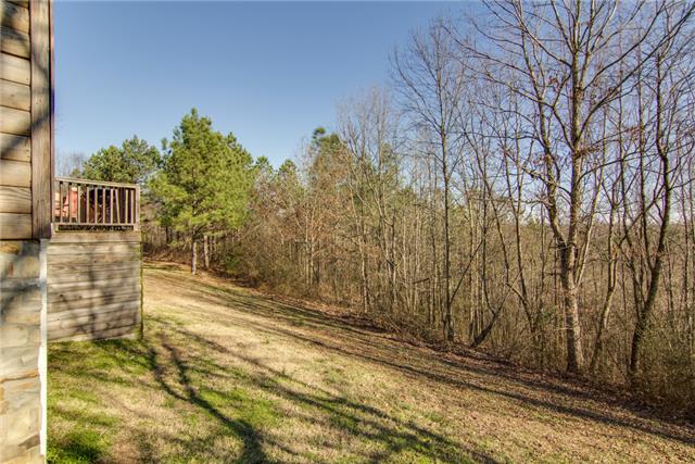 8813 West Sheepneck Road Mount Pleasant, TN 38474 - Photo 19 of 19 PINE TREES AND TALL MATURE TREES ALL AROUND THE HOME
