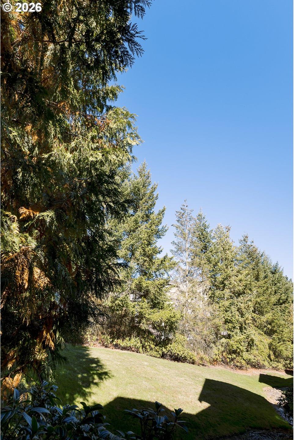 15480 Southwest Sparrow Loop, Unit 102 Beaverton, OR 97007 - Photo 14 of 47 Patio