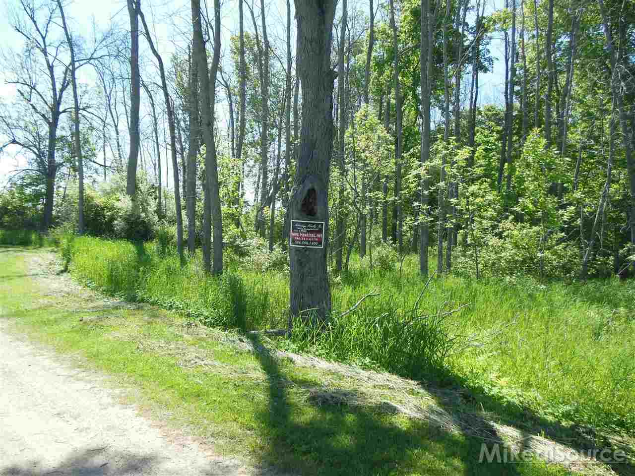 0 Rapson Road Bad Axe, MI 48413 - Photo 5 of 10