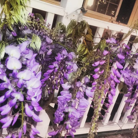 $1,049,000 | 1169 Apache Street, Livermore, CA 94551