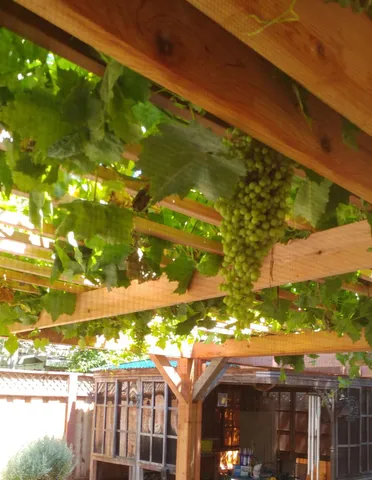 $1,049,000 | 1169 Apache Street, Livermore, CA 94551