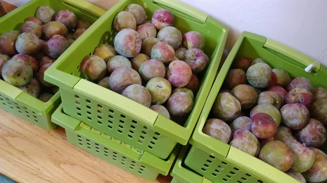 $1,049,000 | 1169 Apache Street, Livermore, CA 94551