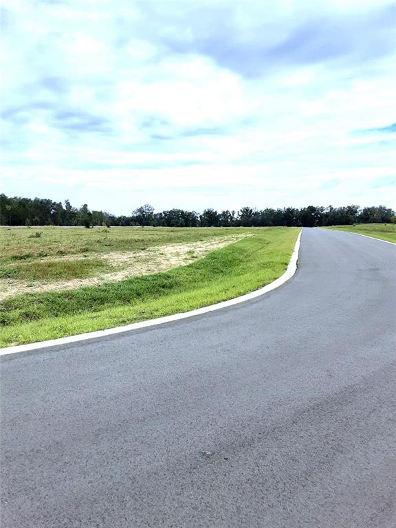 5543 Panoramic View Drive Apopka, FL 32712 - Photo 12 of 25 a view of a lake and a mountain