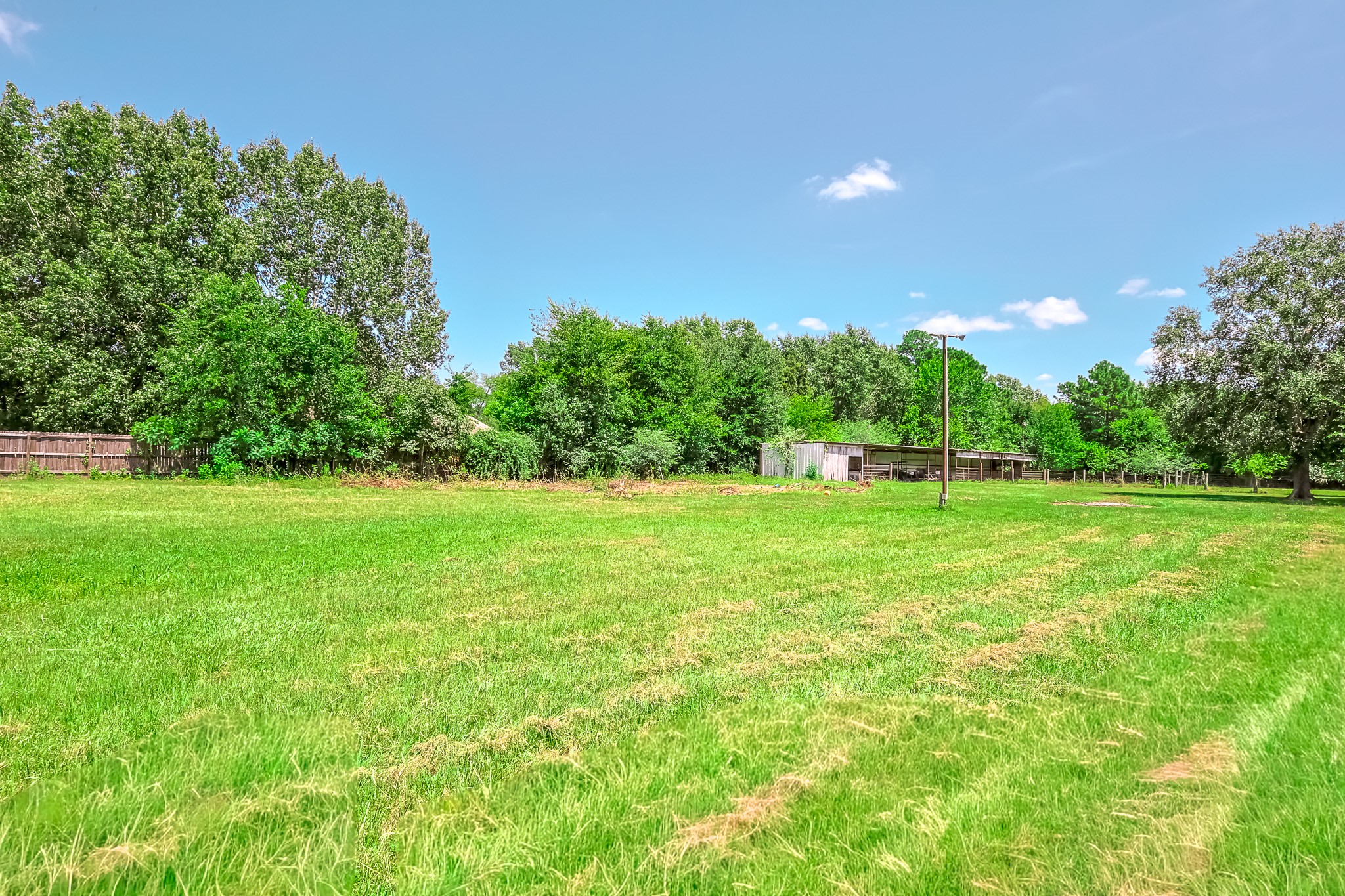 1066 Tafelski Road New Waverly, TX 77358 - Photo 46 of 50