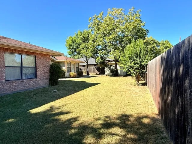 a view of a yard with plants and large trees