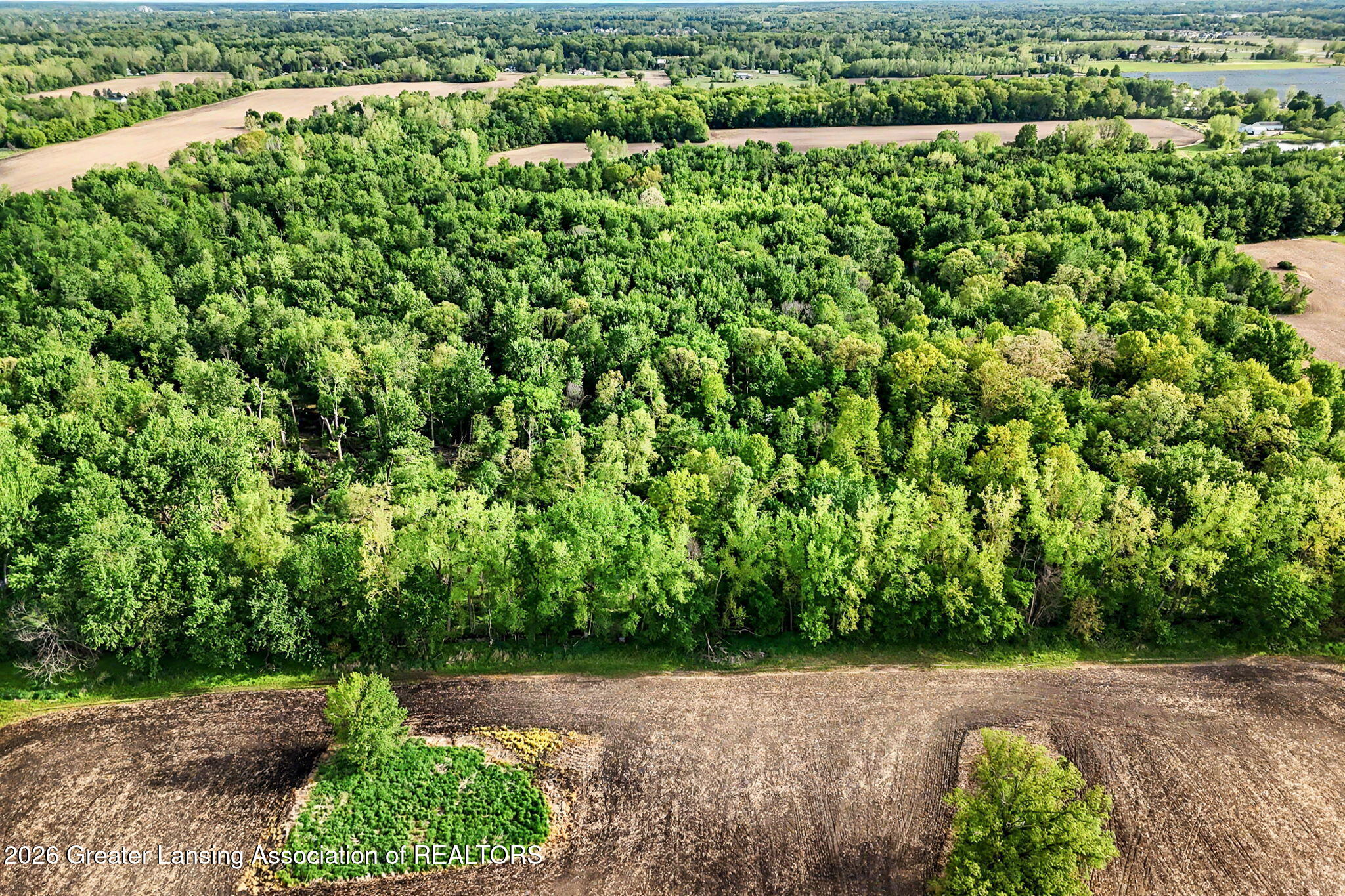 0 North Royston Road Grand Ledge, MI 48837 - Photo 5 of 33 5-web-or-mls-drone11