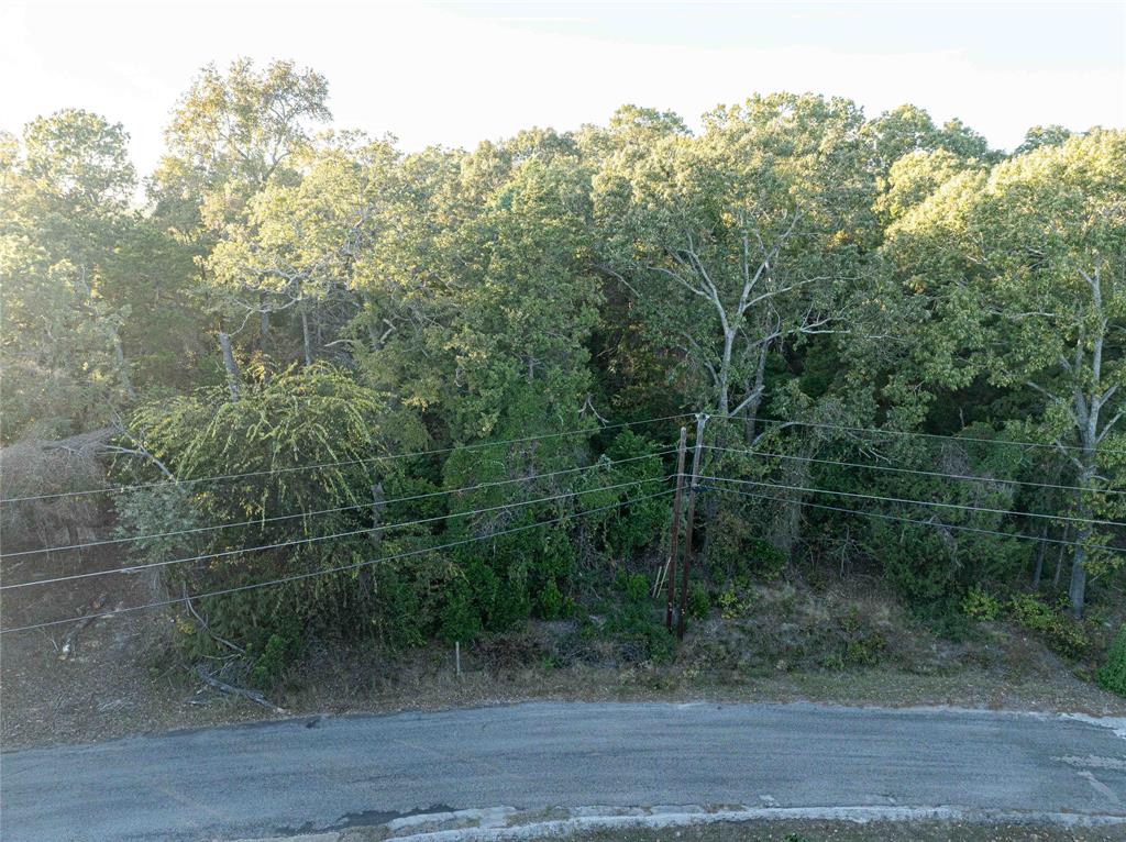 0 Callender Lake Drive Murchison, TX 75778 - Photo 3 of 17 a view of a forest from a window